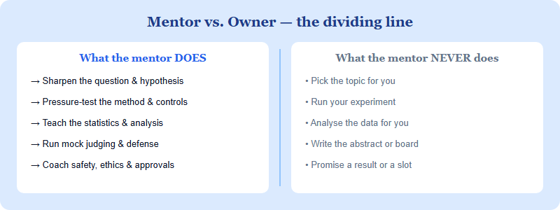 A two-column comparison showing what a discipline mentor does versus what they never do across an ISEF project