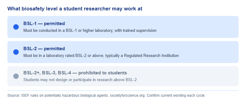 Ladder of biosafety levels showing BSL-1 and BSL-2 permitted for ISEF student research with their laboratory requirements, and BSL-2 plus, BSL-3 and BSL-4 prohibited to students
