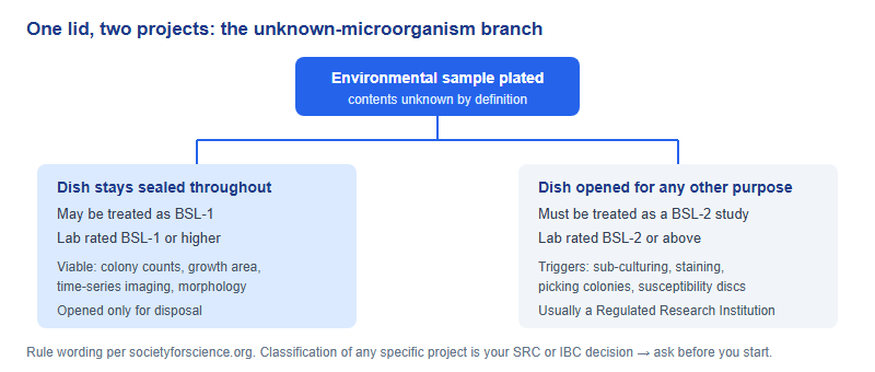 Decision flow for an environmental sample plate: if the dish remains sealed the study may be treated as BSL-1 in a BSL-1 or higher lab; if the dish is opened for any purpose except disposal the study must be treated as BSL-2 with BSL-2 precautions