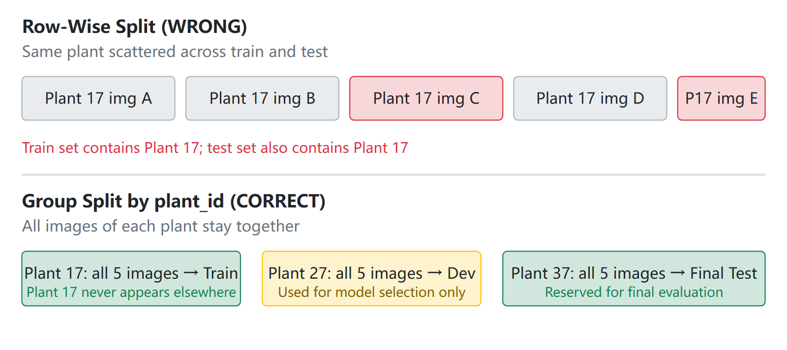 Diagram comparing incorrect row-wise split versus correct group-based split for plant images